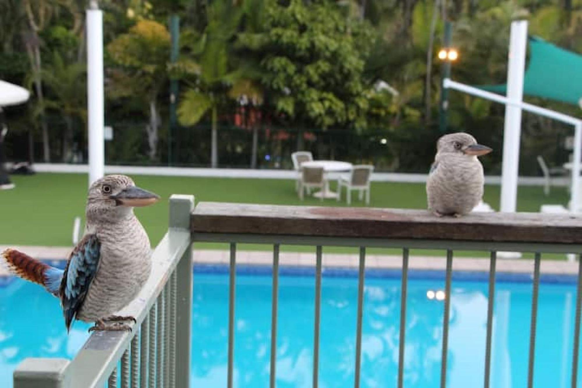 Affordable Island Escape! Queen Studio, Nelly Bay Bagian luar foto